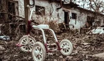 Zdjęcie opuszczonego miejsca: Opuszczony pałac w Świniarach, Świniary