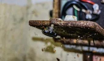 Zdjęcie opuszczonego miejsca: Opuszczony pałac w Świniarach, Świniary