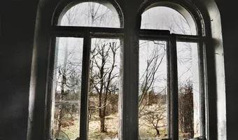 Zdjęcie opuszczonego miejsca: Opuszczony pałac w Świniarach, Świniary