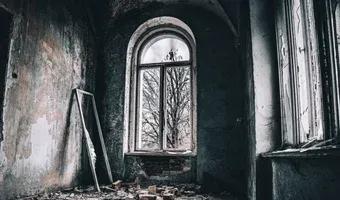 Zdjęcie opuszczonego miejsca: Opuszczony pałac w Świniarach, Świniary