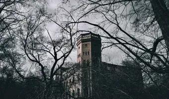 Zdjęcie opuszczonego miejsca: Opuszczony pałac w Świniarach, Świniary