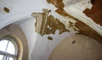 Zdjęcie opuszczonego miejsca: Opuszczony pałac w Świniarach, Świniary