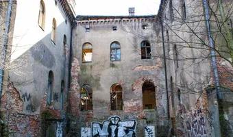 Zdjęcie opuszczonego miejsca: Opuszczony pałac w Świniarach, Świniary