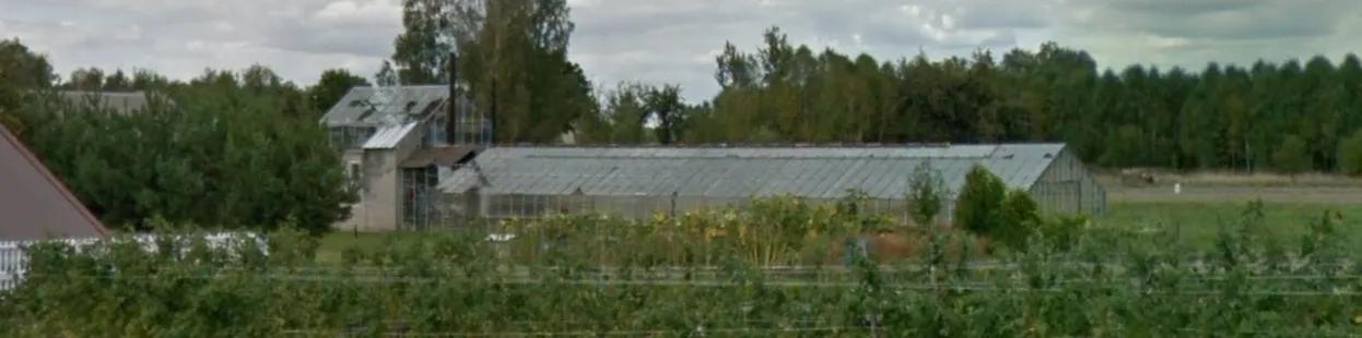 Zdjęcie opuszczonego miejsca: Opuszczona Szklarnia