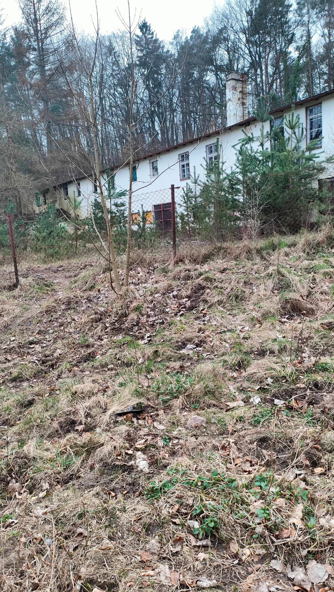 Zdjęcie opuszczonego miejsca: Kilka opuszczonych budynków