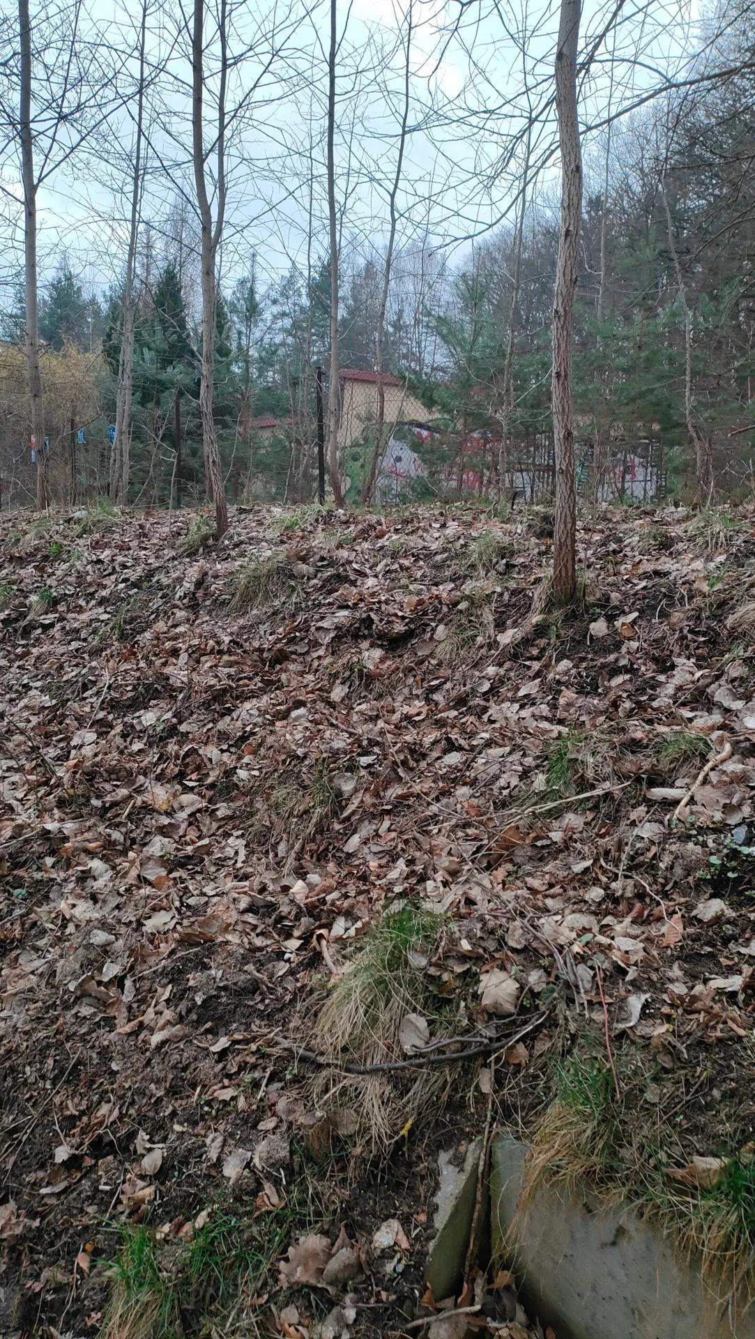 Zdjęcie opuszczonego miejsca: Kilka opuszczonych budynków