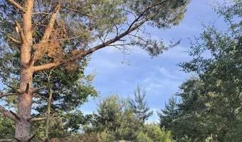 Zdjęcie opuszczonego miejsca: Pierwoszyno Jednostka, Pierwoszyno