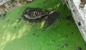 Zdjęcie opuszczonego miejsca: Polifarb, Gdynia