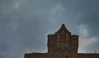 Zdjęcie opuszczonego miejsca: Port Miejski, Wrocław