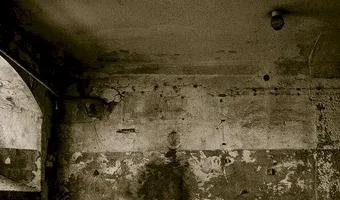 Zdjęcie opuszczonego miejsca: Port Miejski, Wrocław