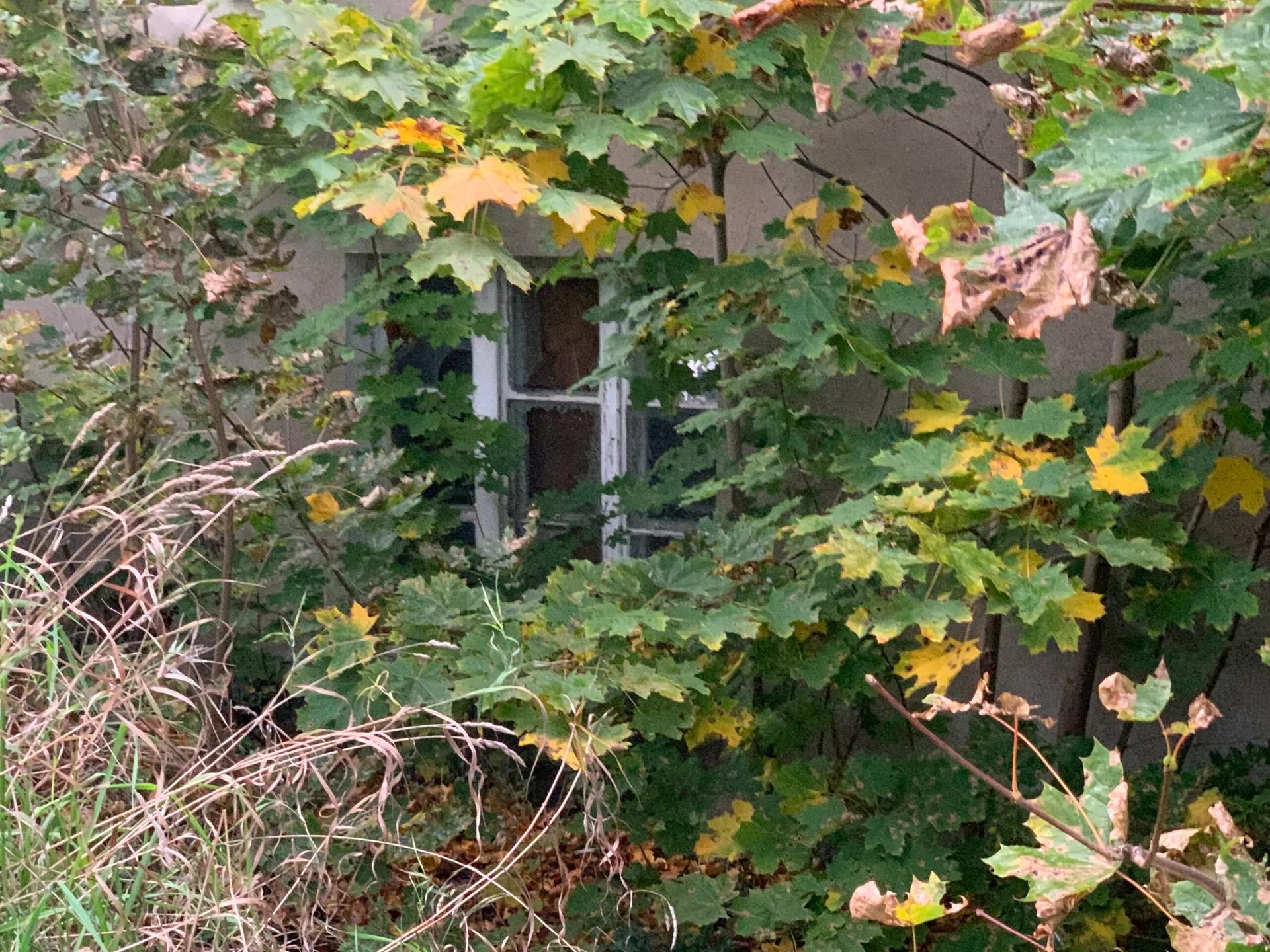 Zdjęcie opuszczonego miejsca: Jakiś dom