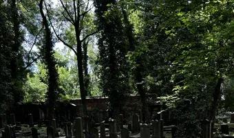 Zdjęcie opuszczonego miejsca: Stary Cmentarz Żydowski, Katowice