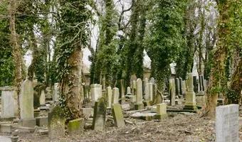 Zdjęcie opuszczonego miejsca: Stary Cmentarz Żydowski, Katowice