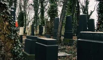 Zdjęcie opuszczonego miejsca: Stary Cmentarz Żydowski, Katowice