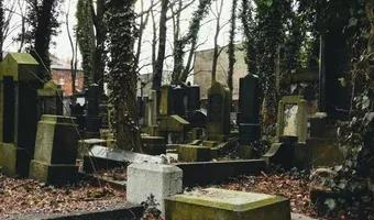 Zdjęcie opuszczonego miejsca: Stary Cmentarz Żydowski, Katowice