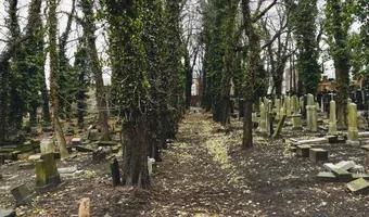 Zdjęcie opuszczonego miejsca: Stary Cmentarz Żydowski, Katowice