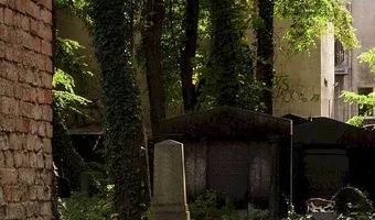 Zdjęcie opuszczonego miejsca: Stary Cmentarz Żydowski, Katowice