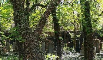 Zdjęcie opuszczonego miejsca: Stary Cmentarz Żydowski, Katowice