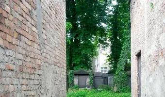 Zdjęcie opuszczonego miejsca: Stary Cmentarz Żydowski, Katowice