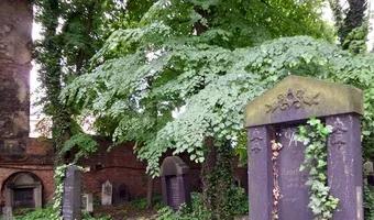Zdjęcie opuszczonego miejsca: Stary Cmentarz Żydowski, Katowice