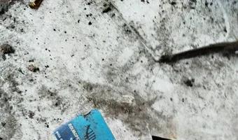 Zdjęcie opuszczonego miejsca: Wędzarnia Ryb, Katowice