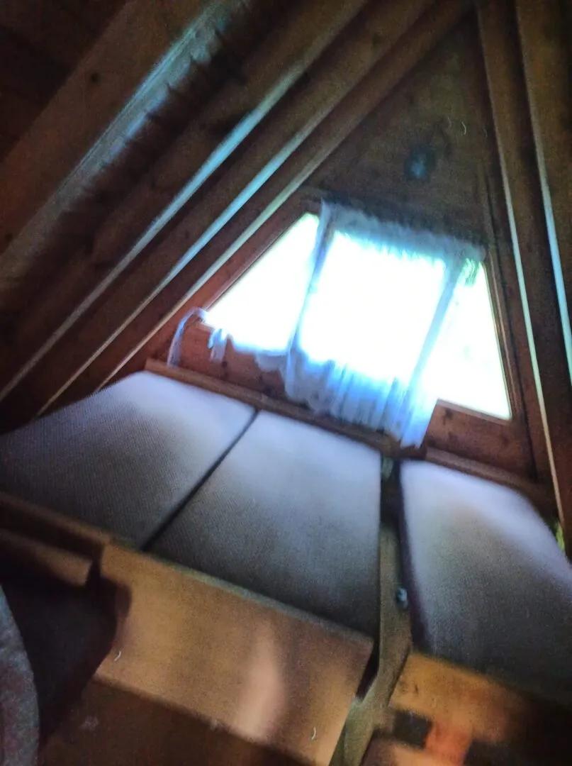 Zdjęcie opuszczonego miejsca: Opuszony domek Baba Jagi