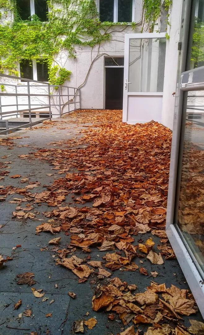 Zdjęcie opuszczonego miejsca: Spa Morena w Łagowie.