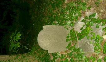 Zdjęcie opuszczonego miejsca: Zrujnowany cmentarz, Gdańsk Wrzeszcz