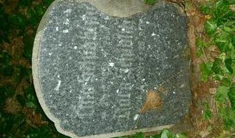 Zdjęcie opuszczonego miejsca: Zrujnowany cmentarz, Gdańsk Wrzeszcz