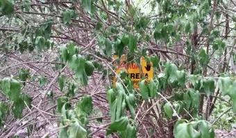 Zdjęcie opuszczonego miejsca: Budynek należący do MPWiK