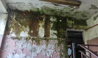 Zdjęcie opuszczonego miejsca: Browar Zarszyn, późniejsze Chłodnie Zgoda