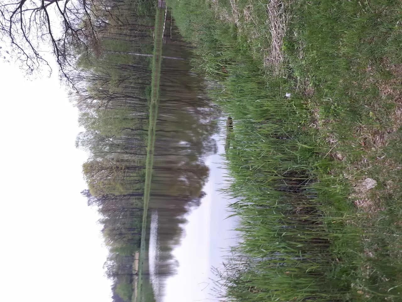 Zdjęcie opuszczonego miejsca: Tarka opuszczony ośrodek wypoczynkowy