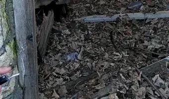 Zdjęcie opuszczonego miejsca: Dom na rogu