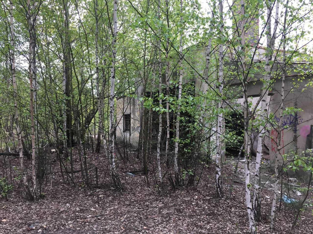 Zdjęcie opuszczonego miejsca: Dwa niewielkie budynki, ruiny i mały komin z drabiną