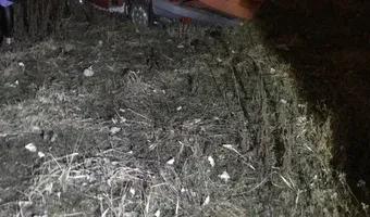 Zdjęcie opuszczonego miejsca: Opuszczony parking policyjny