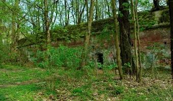 Zdjęcie opuszczonego miejsca: Schron Piechoty J2 IIa