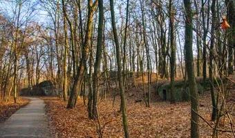 Zdjęcie opuszczonego miejsca: Schron Piechoty J2 IIa