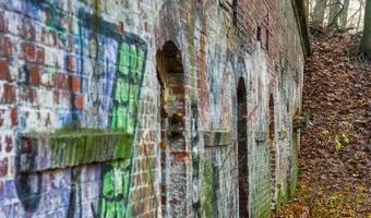 Zdjęcie opuszczonego miejsca: Schron Piechoty J2 IIa