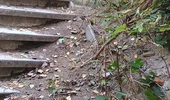 Zdjęcie opuszczonego miejsca: Stara Posiadłość Mielochów