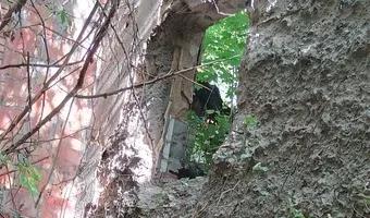 Zdjęcie opuszczonego miejsca: Stara Posiadłość Mielochów