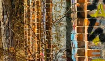 Zdjęcie opuszczonego miejsca: Stara Posiadłość Mielochów