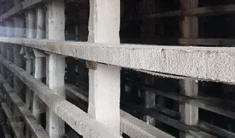 Zdjęcie opuszczonego miejsca: Cegielnia Lipie Śląskie