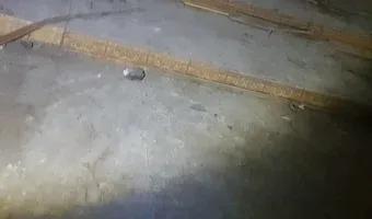 Zdjęcie opuszczonego miejsca: Dawne przedszkole - Katowickie Murcki