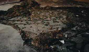 Zdjęcie opuszczonego miejsca: Dawne przedszkole - Katowickie Murcki