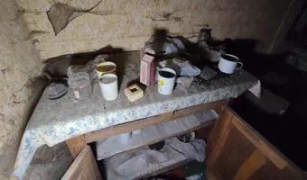 Zdjęcie opuszczonego miejsca: Zarośnięty domek