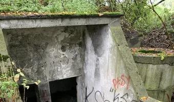 Zdjęcie opuszczonego miejsca: Schron obok pociągów