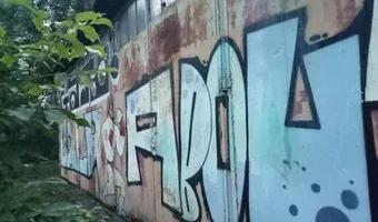 Zdjęcie opuszczonego miejsca: Budynek i tory bocznicy kolejowej