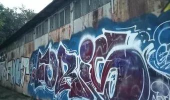 Zdjęcie opuszczonego miejsca: Budynek i tory bocznicy kolejowej