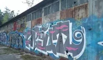 Zdjęcie opuszczonego miejsca: Budynek i tory bocznicy kolejowej