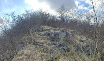 Zdjęcie opuszczonego miejsca: Kamieniołom Bodzów